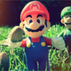 Illustration for article titled Mario And Luigi, Mushroom Hunting In Their Element